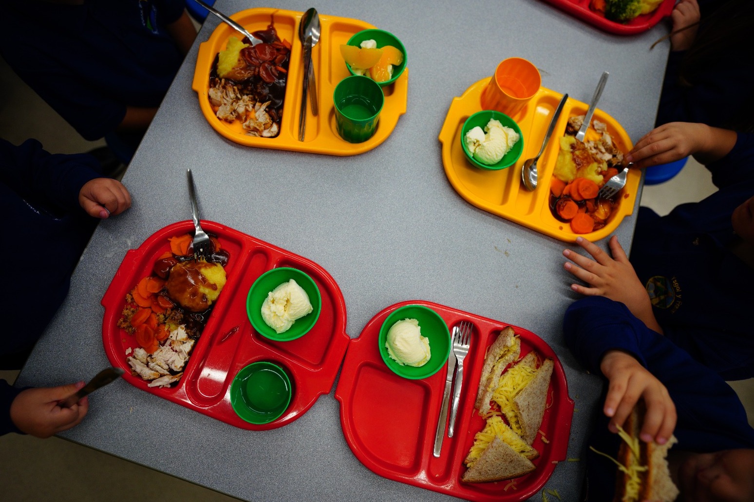 All primary pupils should receive free school lunches, say health experts 